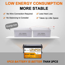 Load image into Gallery viewer, 24V 100Ah LiFePO4 Lithium BtrPower Battery for RV Marine Solar System 100A BMS