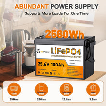 Load image into Gallery viewer, 24V 100Ah LiFePO4 Lithium BtrPower Battery for RV Marine Solar System 100A BMS